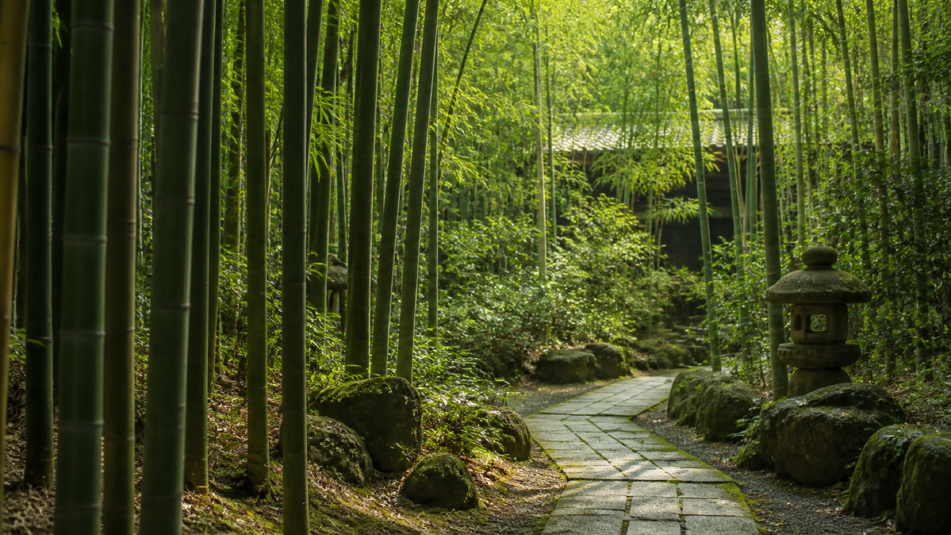 静かな竹林と石畳の風景